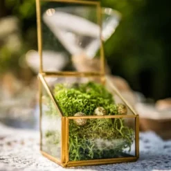 Joli Terrarium - Le Bijou - Or