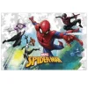 Nappe Spiderman x1