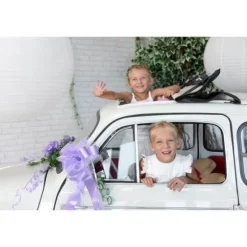 5 Noeuds automatiques en tulle - Parme