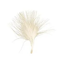 20 Plumes Ivoire