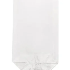 10 sachets transparents - 11,5 x 19 cm