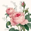 20 serviettes cocktail en papier - 25 x 25 cm - Wonderful Rose
