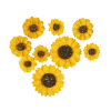 9 tournesols jaunes en papier à parsemer avec adhésifs - De 2,5 à 4,5 cm